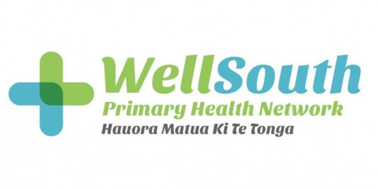 WellSouth logo
