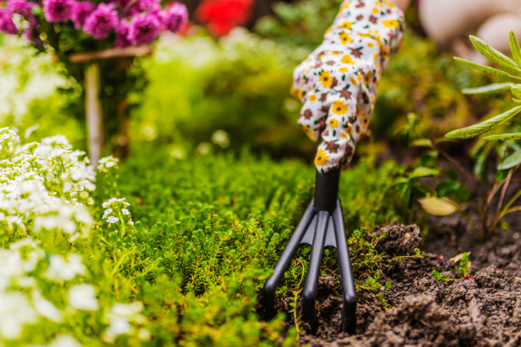 Legionnaires Disease Spring Planting